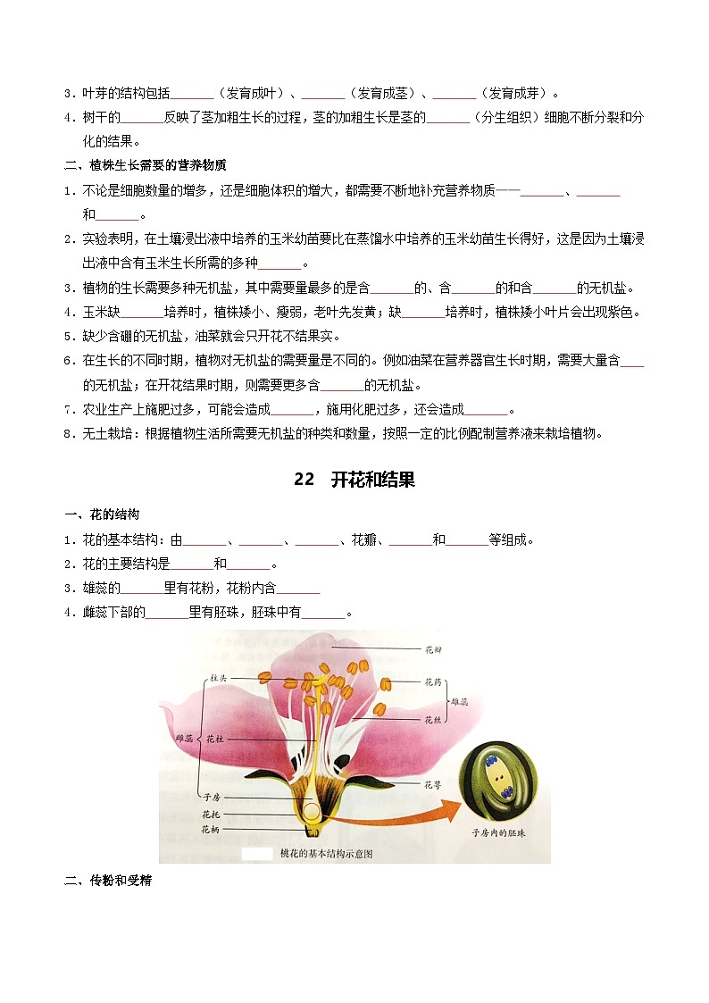 03 植物的生活-2026年中考生物知识盘点与通关测试（挖空版）第3页