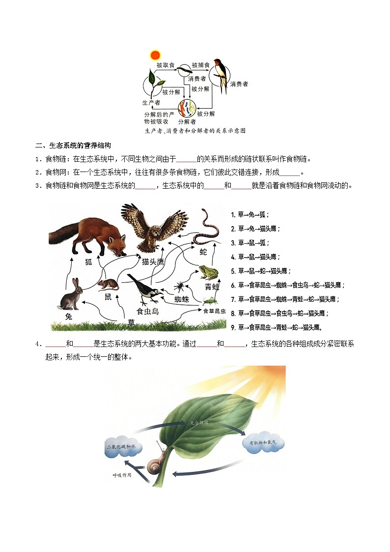 06 生物与环境-2026年中考生物知识盘点与通关测试（挖空版）第3页