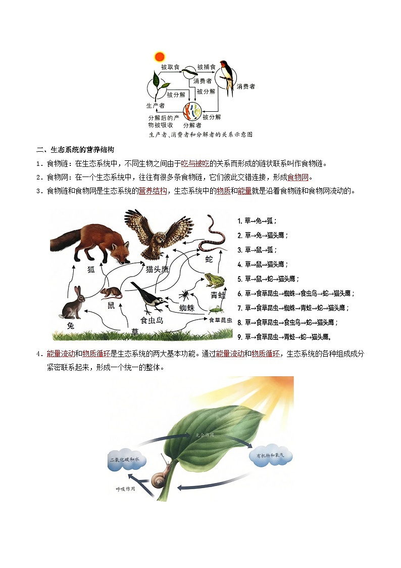 06 生物与环境-2026年中考生物知识盘点与通关测试（解析版）第3页