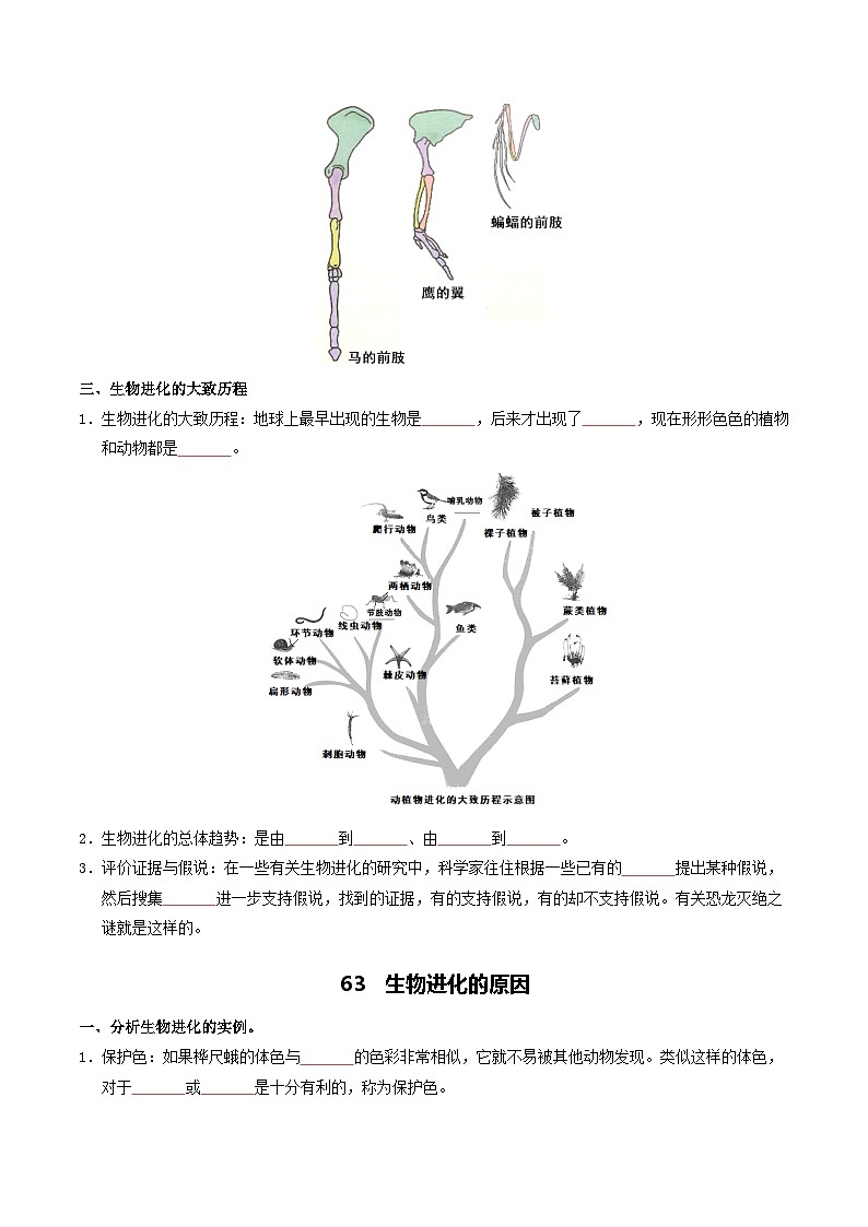 08 生物的进化&生物多样性的保护-2026年中考生物知识盘点与通关测试（挖空版）第3页