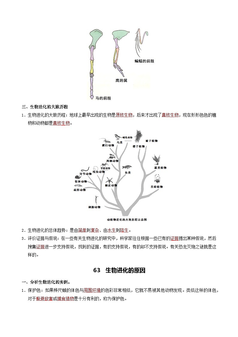 08 生物的进化&生物多样性的保护-2026年中考生物知识盘点与通关测试（解析版）第3页