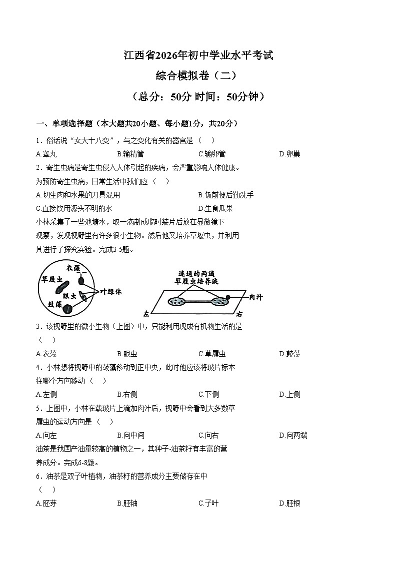 江西赣州市第十中学2025_2026学年八年级下学期3月阶段检测生物试题（文字版，含答案）第1页