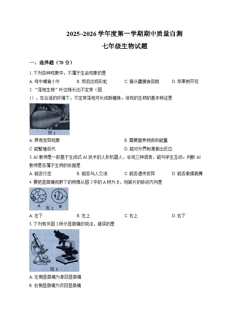 江苏省徐州市铜山区2025_2026学年七年级上学期期中质量自测生物试题（文字版，含答案）第1页
