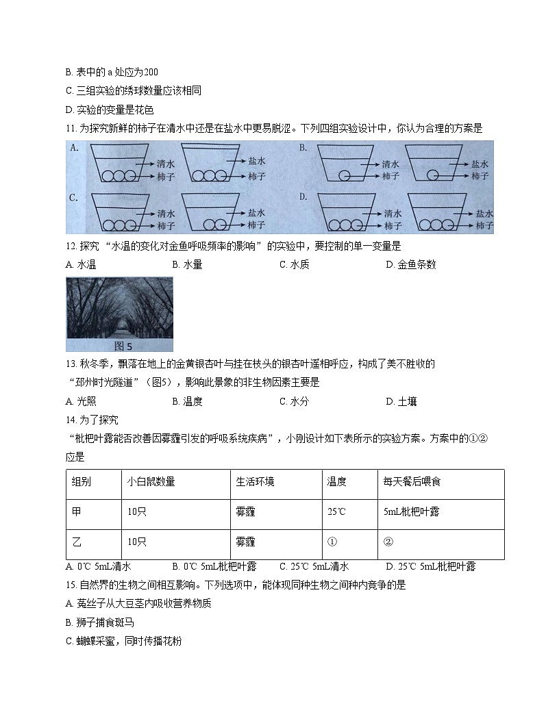 江苏省徐州市铜山区2025_2026学年七年级上学期期中质量自测生物试题（文字版，含答案）第3页