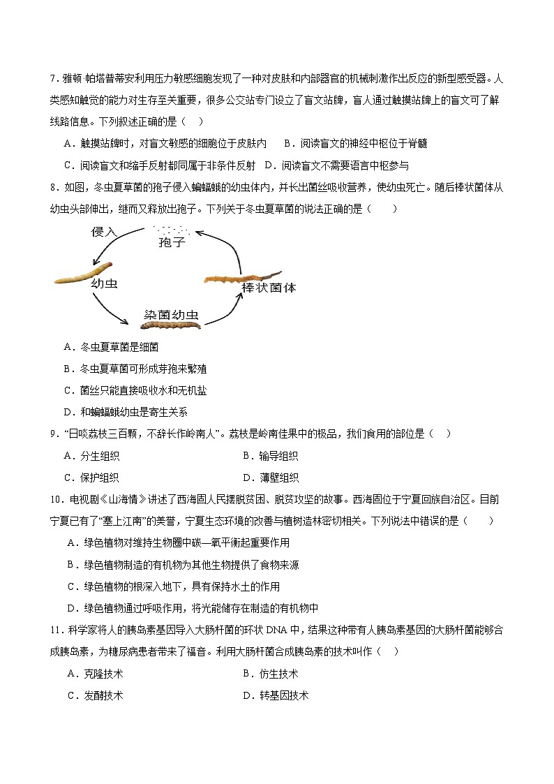 广西壮族自治区南宁市2025届九年级下学期中考第一次适应性训练生物试卷（含答案）第2页
