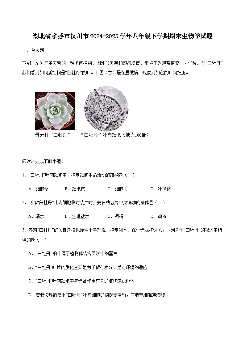 湖北省孝感市汉川市2024-2025学年八年级下学期6月期末考试生物试卷 （含答案）第1页