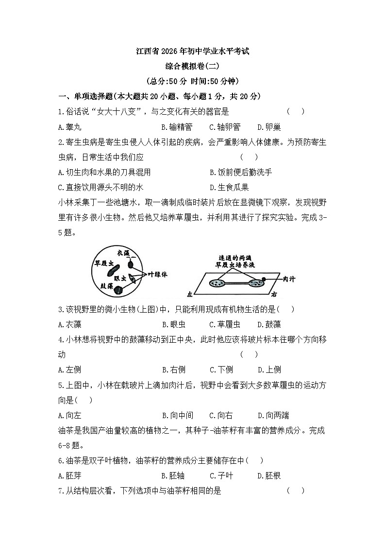 江西赣州市第十中学2025-2026学年八年级下学期3月阶段检测生物试题（含答案）第1页