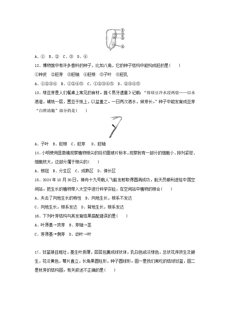 2025八年级生物上学期期中学情评估试卷（含答案冀少版）第3页