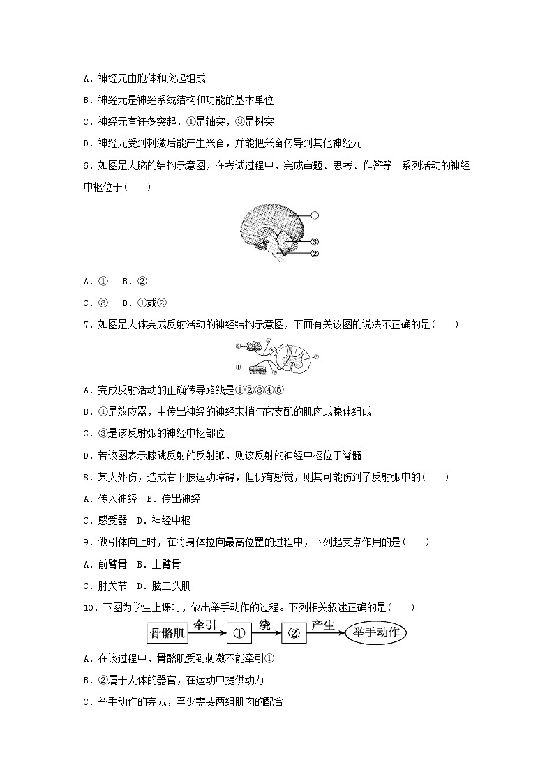 2025八年级生物上学期期末学情评估试卷（含答案人教版）第2页