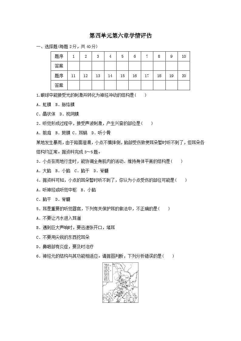 2025八年级生物上册第四单元人体生理与降二第六章人体生命活动的调节学情评估试卷（含答案人教版）第1页