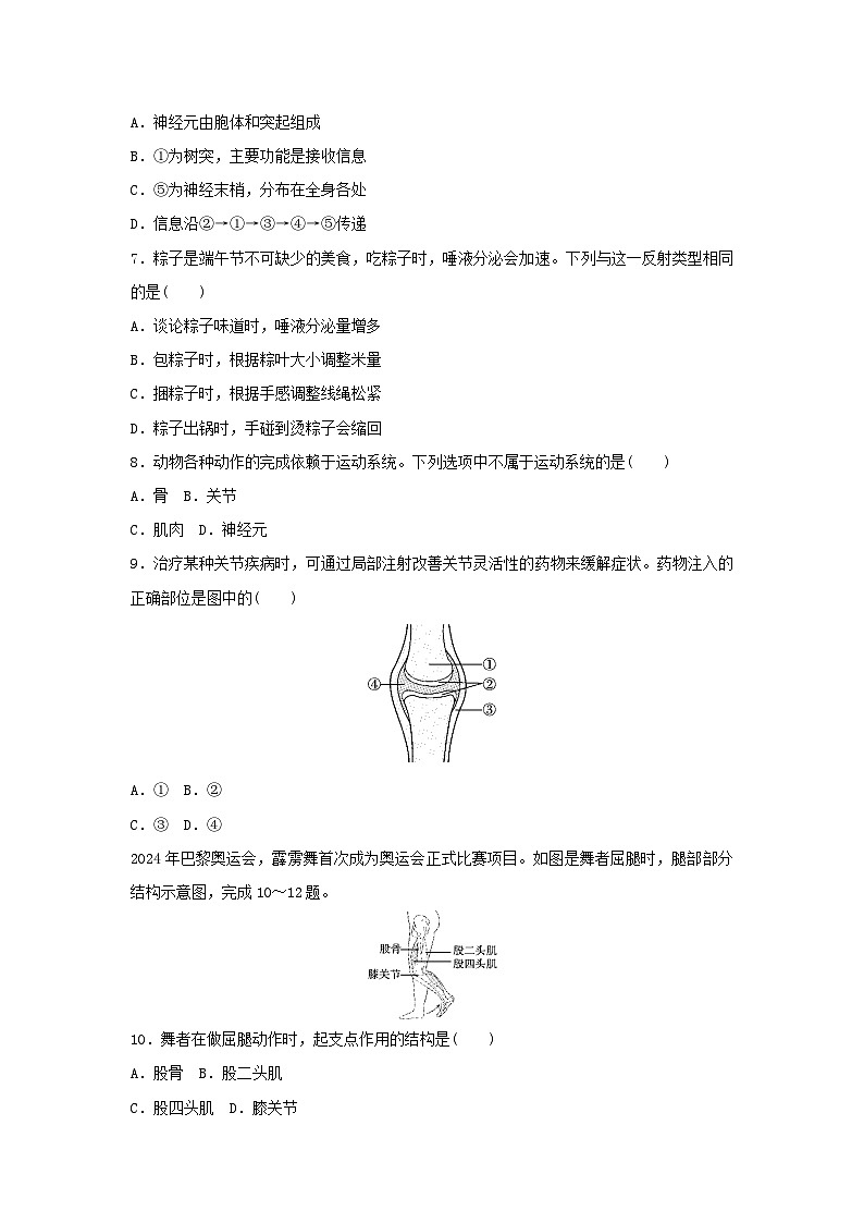 2025八年级生物上册第四单元人体生理与降二第六章人体生命活动的调节学情评估试卷（含答案人教版）第2页