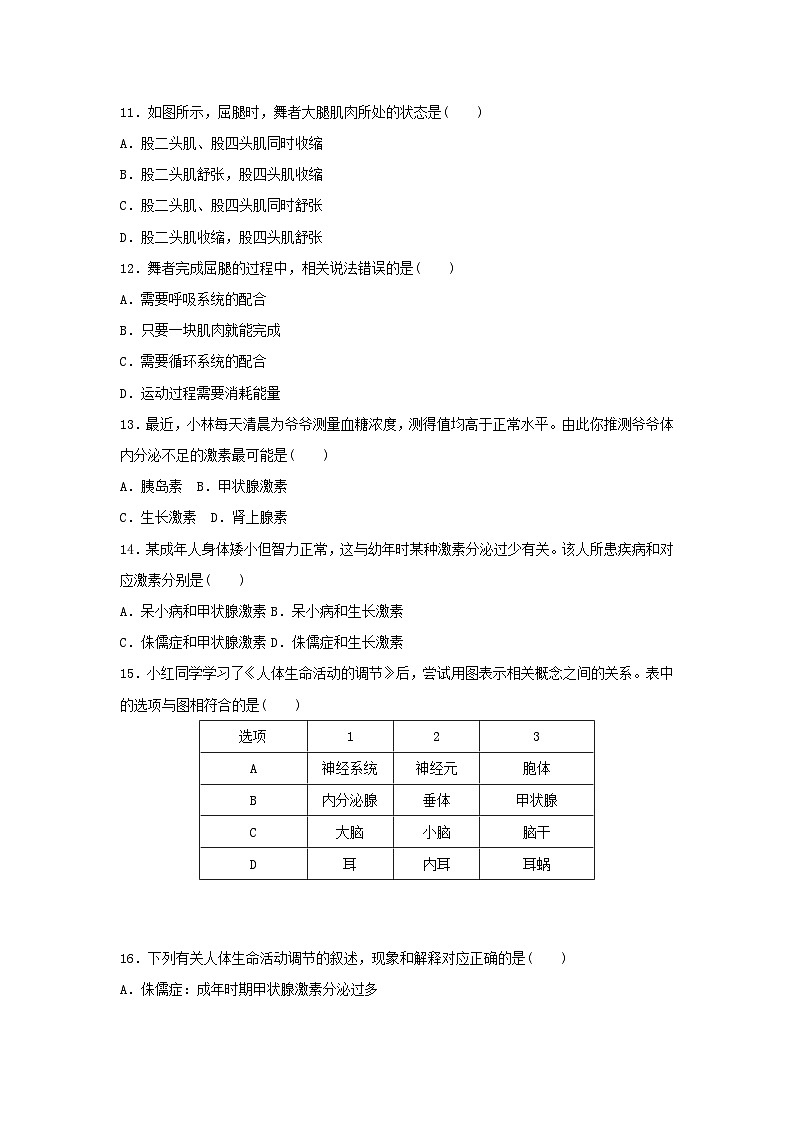2025八年级生物上册第四单元人体生理与降二第六章人体生命活动的调节学情评估试卷（含答案人教版）第3页