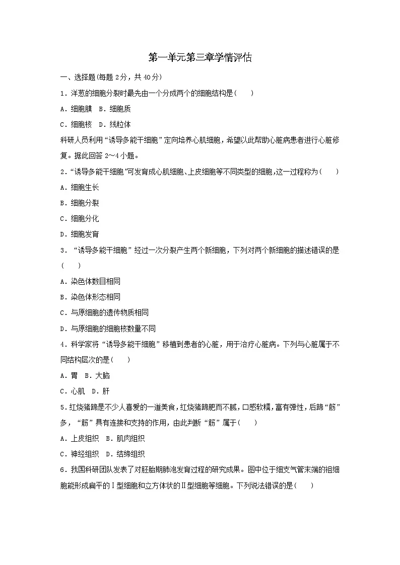 2025七年级生物上册第一单元生物和细胞第三章从细胞到生物体学情评估试卷（含答案人教版）第1页