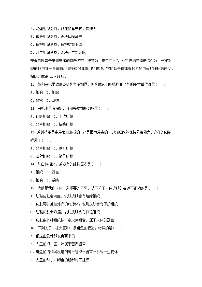 2025七年级生物上册第一单元生物和细胞第三章从细胞到生物体学情评估试卷（含答案人教版）第3页