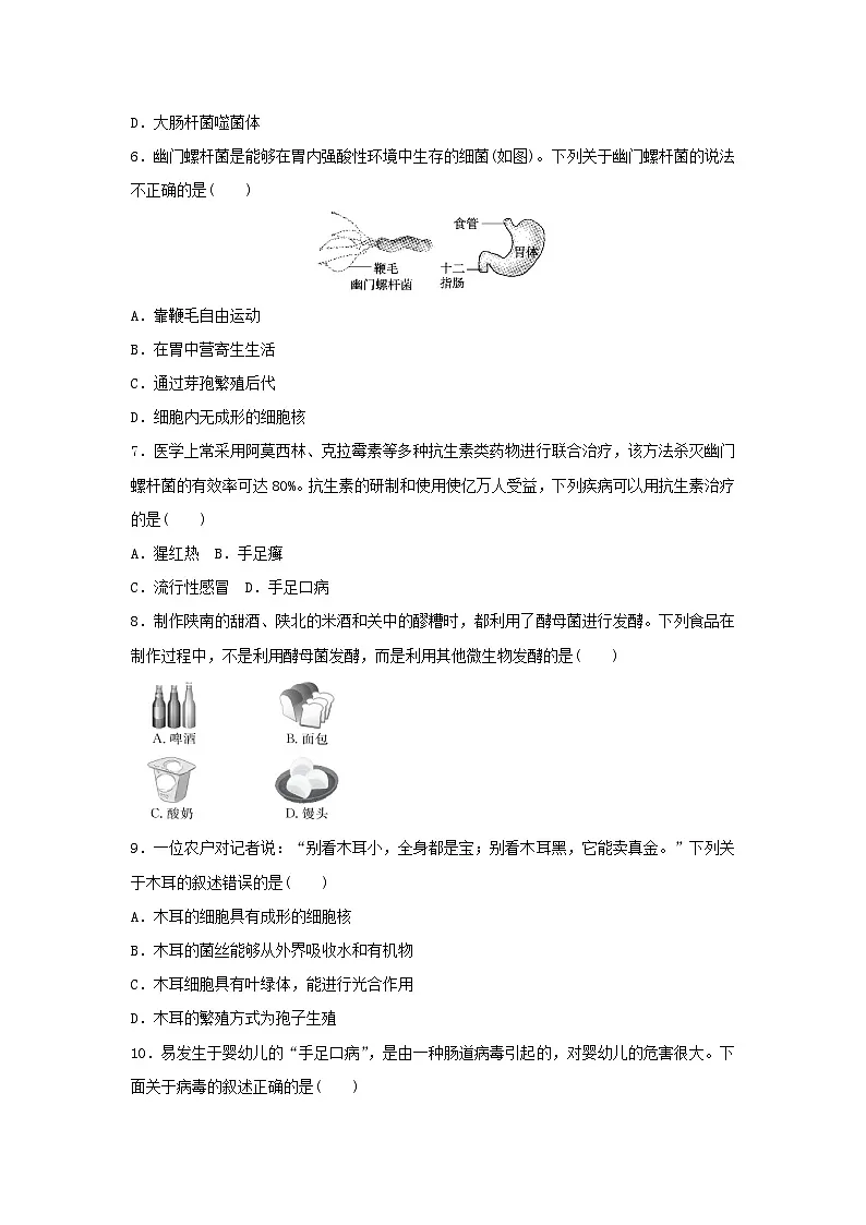 2025七年级生物上册第二单元多种多样的生物第三四章学情评估试卷（含答案人教版）第2页