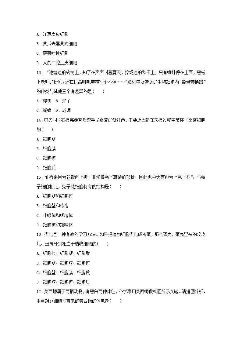 2025七年级生物上册第一单元生物和细胞第一二章学情评估试卷（含答案人教版）第3页