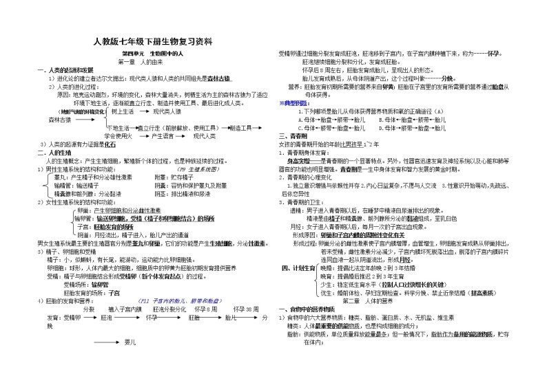 金盆中学2017上学期七年级生物期末复习知识点01