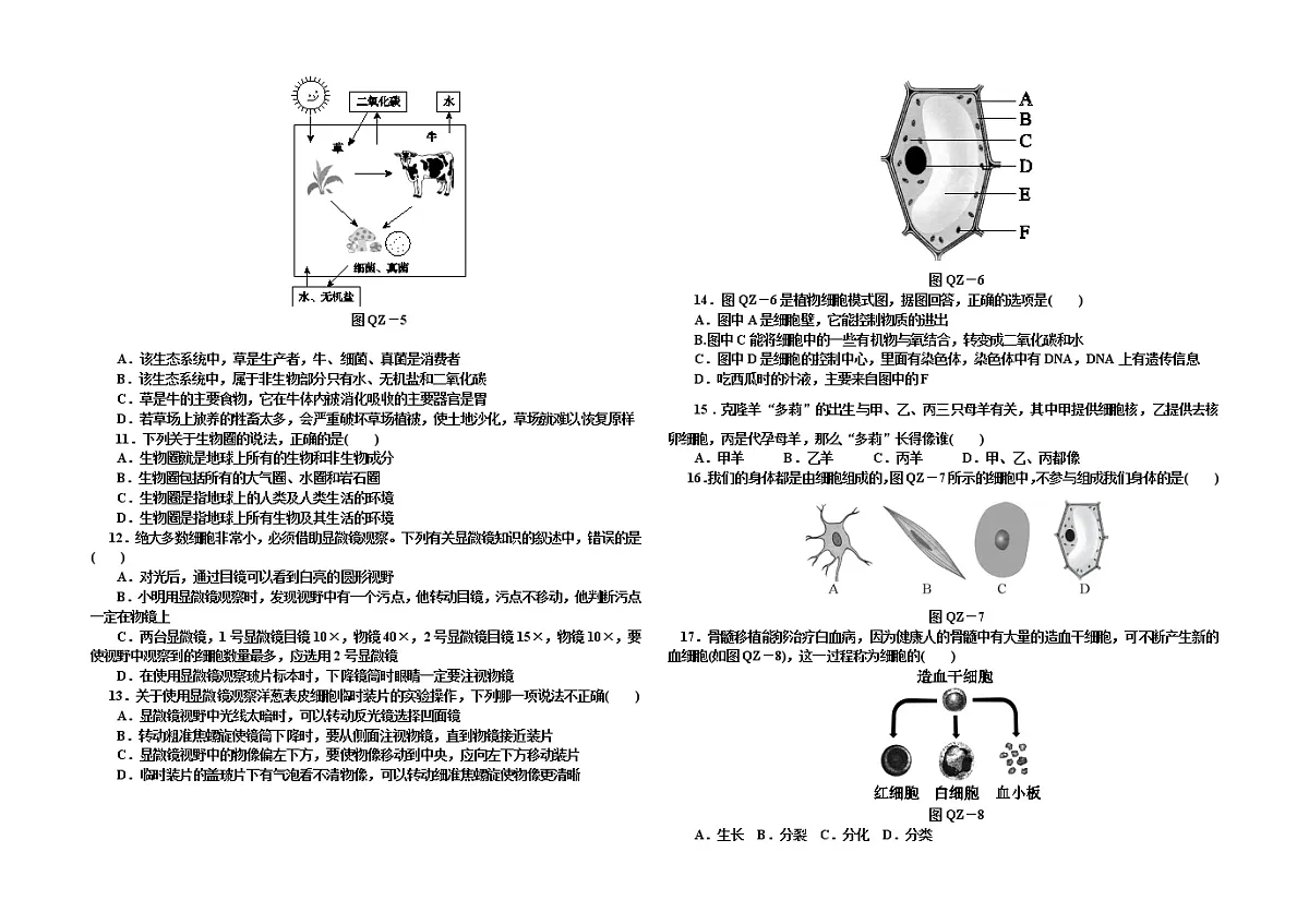 金盆中学2016下学期七年级生物期中测试第2页
