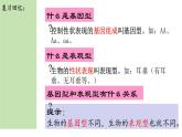 4 遗传与环境or人类遗传病 课件