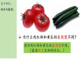 4 遗传与环境or人类遗传病 课件