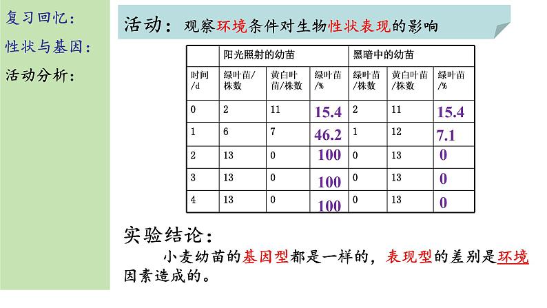 4 遗传与环境or人类遗传病 课件05