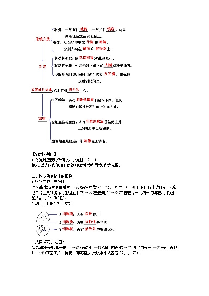 生物体的结构 学案02