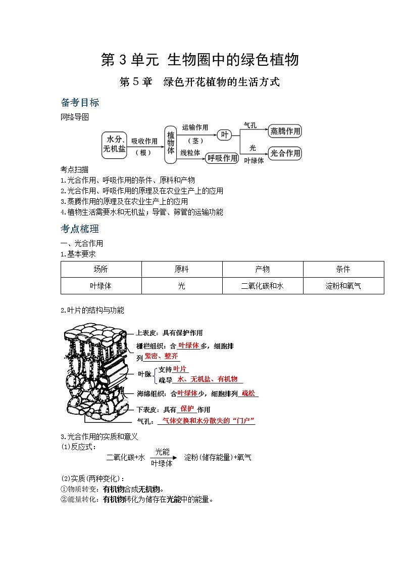 第三单元：生物圈中的绿色植物 学案01