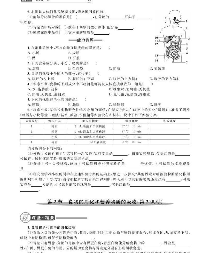 七年级下册生物 课堂精练 北师大版电子书