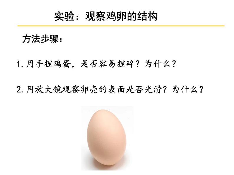 第四节    鸟的生殖和发育【2019cfh】 课件03