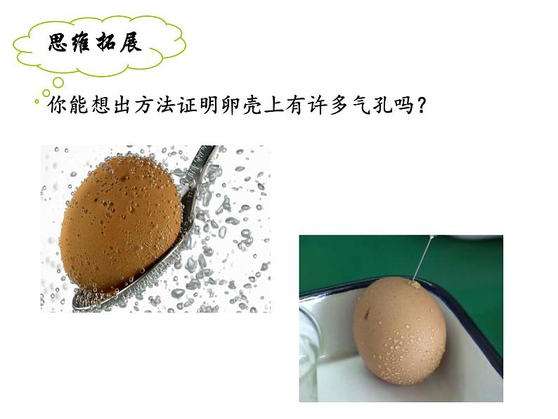 第四节    鸟的生殖和发育【2019cfh】 课件04