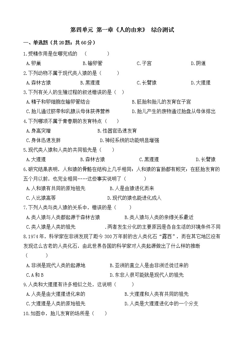 人教版七年级生物下册-第四单元 第一章《人的由来》 综合测试（Word版含答案）01