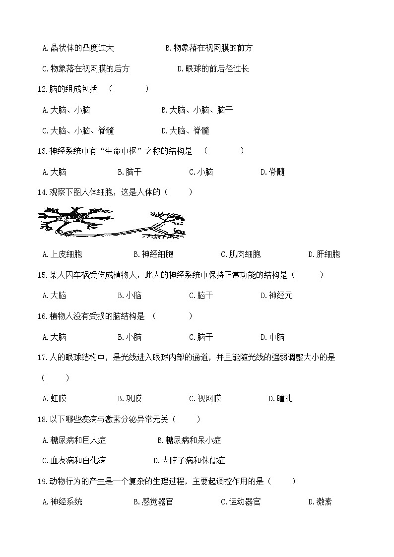 人教版七年级生物下册-第四单元 第六章《人体生命活动的调节》综合测试（Word版含答案）03