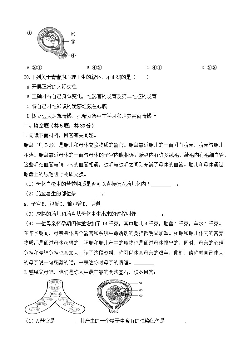七年级生物下册单元试卷（Word版含答案）-第四单元 第一章《人的由来》（人教版）03