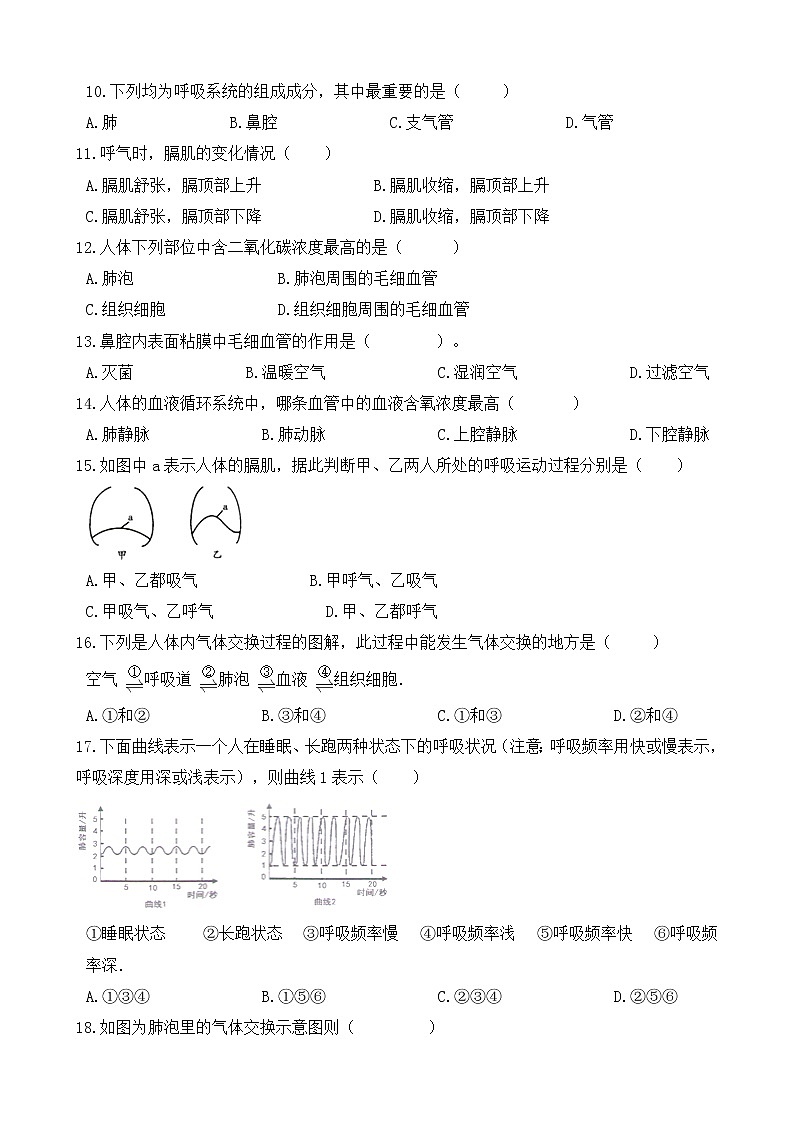 七年级生物下册单元试卷（Word版含答案）-第三章《人体的呼吸》（人教版）第2页