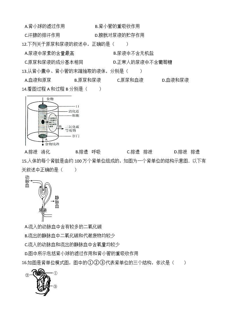 人教版七年级生物下册单元试卷-第五章《人体内废物的排出》（Word版含答案）02