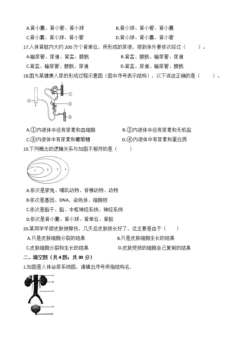 人教版七年级生物下册单元试卷-第五章《人体内废物的排出》（Word版含答案）03
