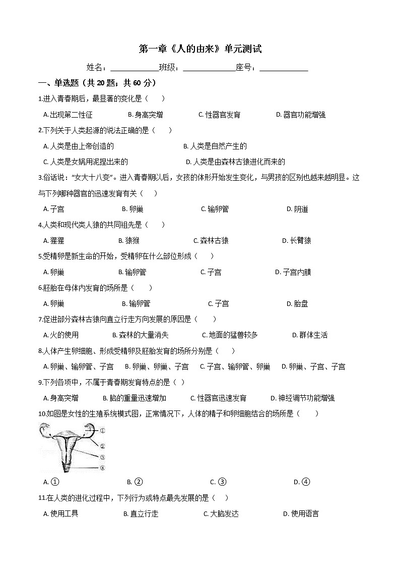 人教版七年级生物下册-第一章《人的由来》 单元测试（Word版含答案）01