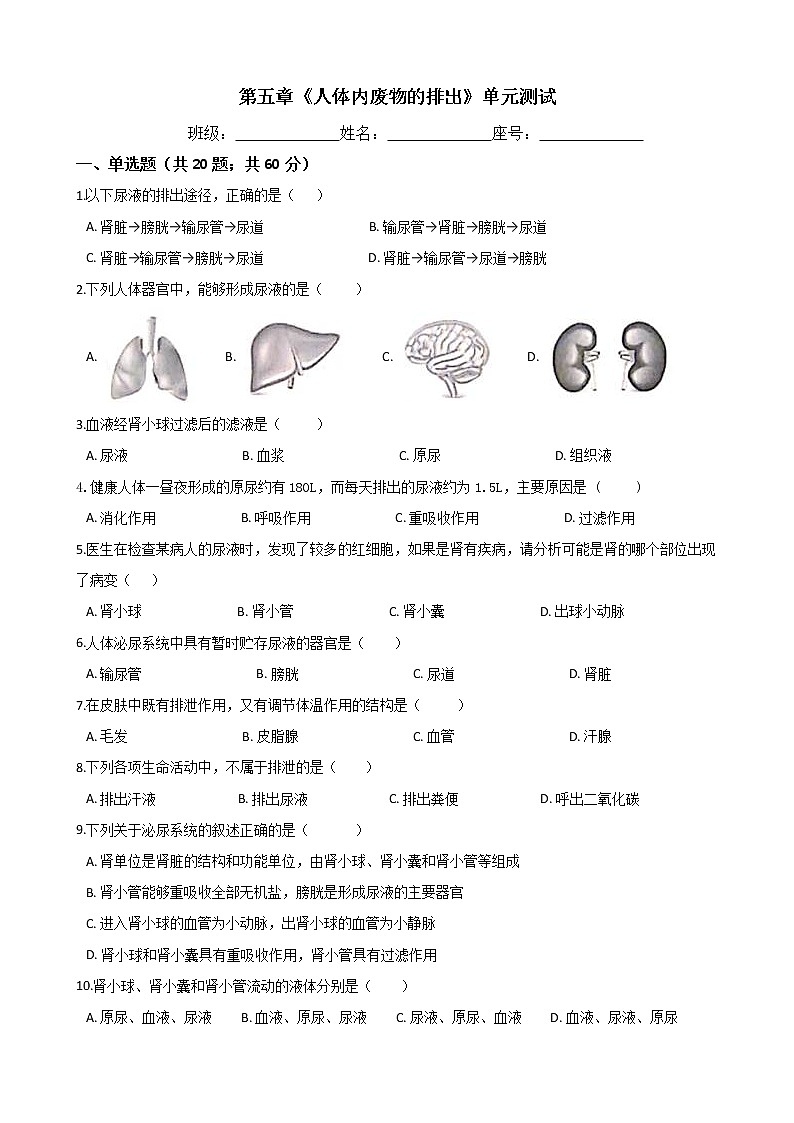 人教版七年级生物下册-第五章《人体内废物的排出》单元测试（Word版含答案）01