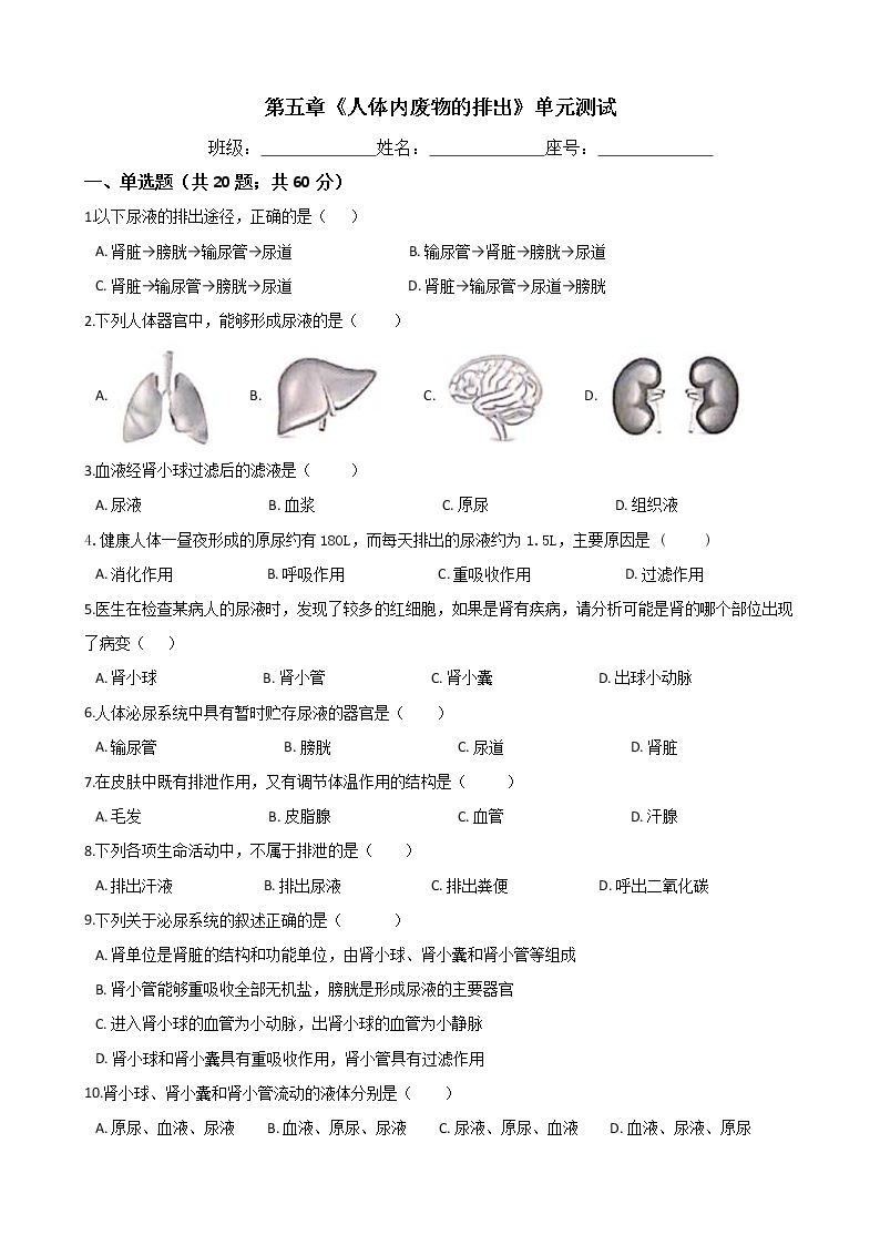 人教版七年级生物下册-第五章《人体内废物的排出》单元测试（Word版含答案）01