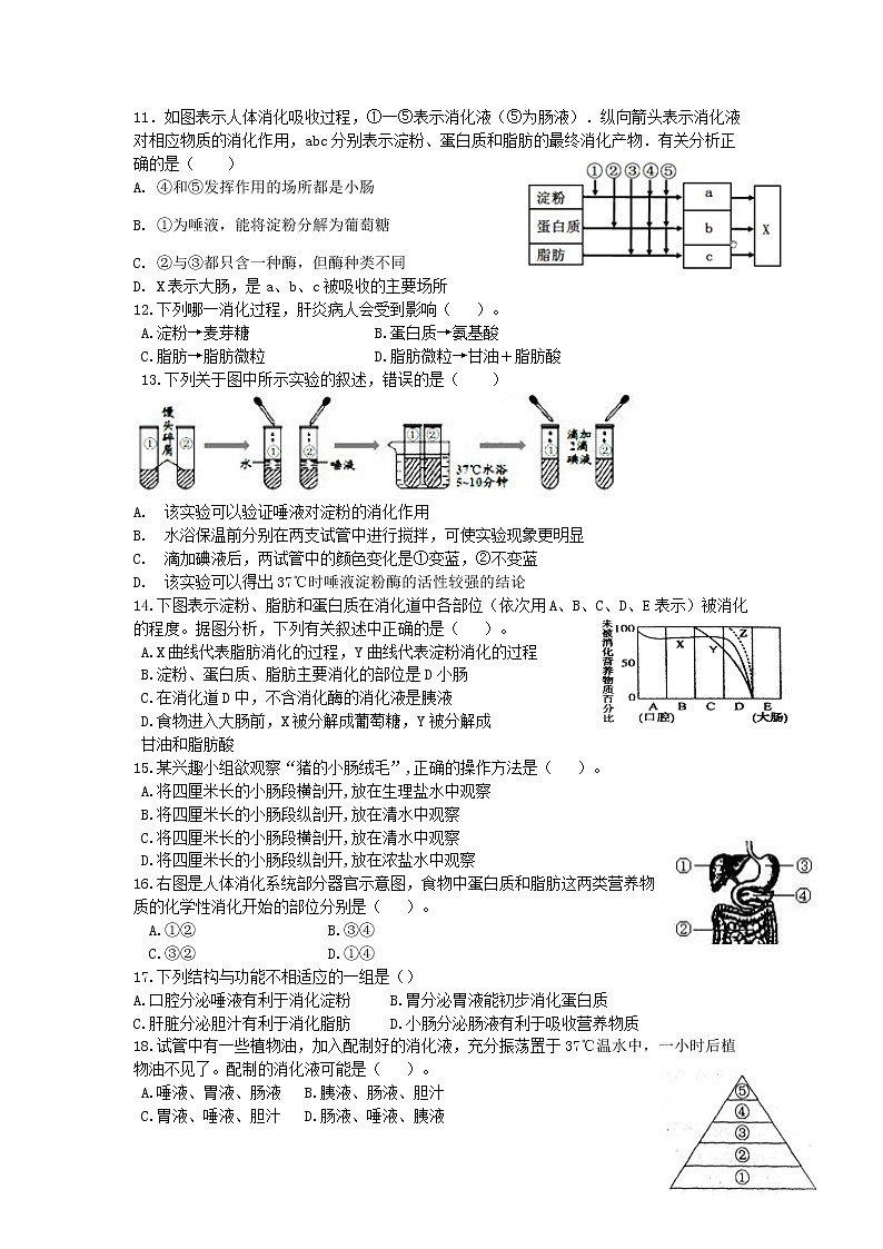 第一章《人的生活需要营养》过关检测题02