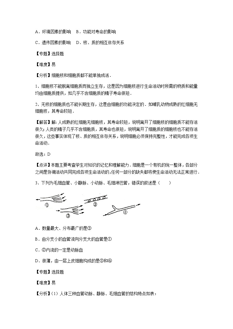 初中生物济南市七年级下册第三章章末试题202