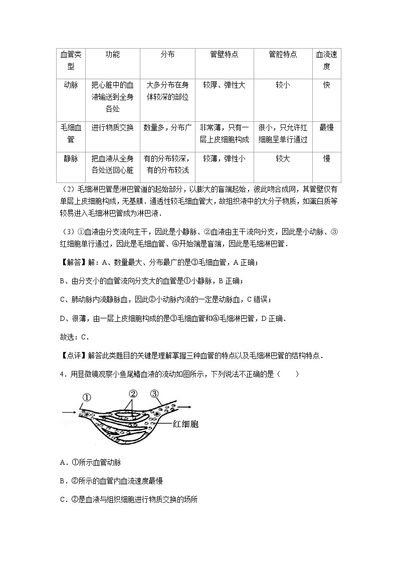 初中生物济南市七年级下册第三章章末试题203