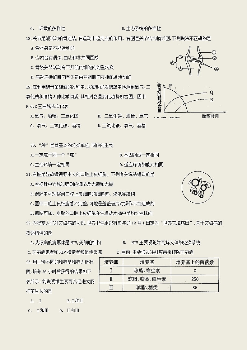 2019年山东省日照市中考生物试题（含解析）03