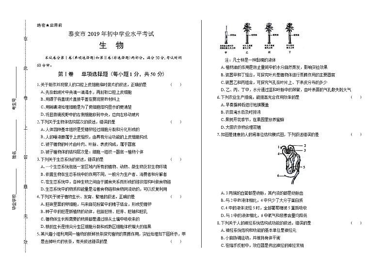 2019年山东省泰安中考生物试卷（含答案与解析）01