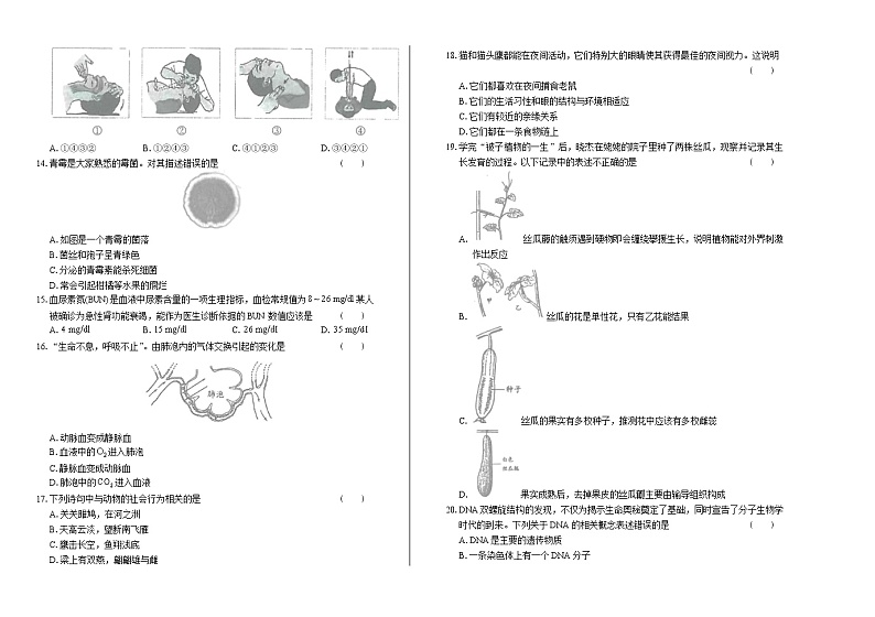 2019年山东省烟台市中考生物试卷（含答案与解析）02