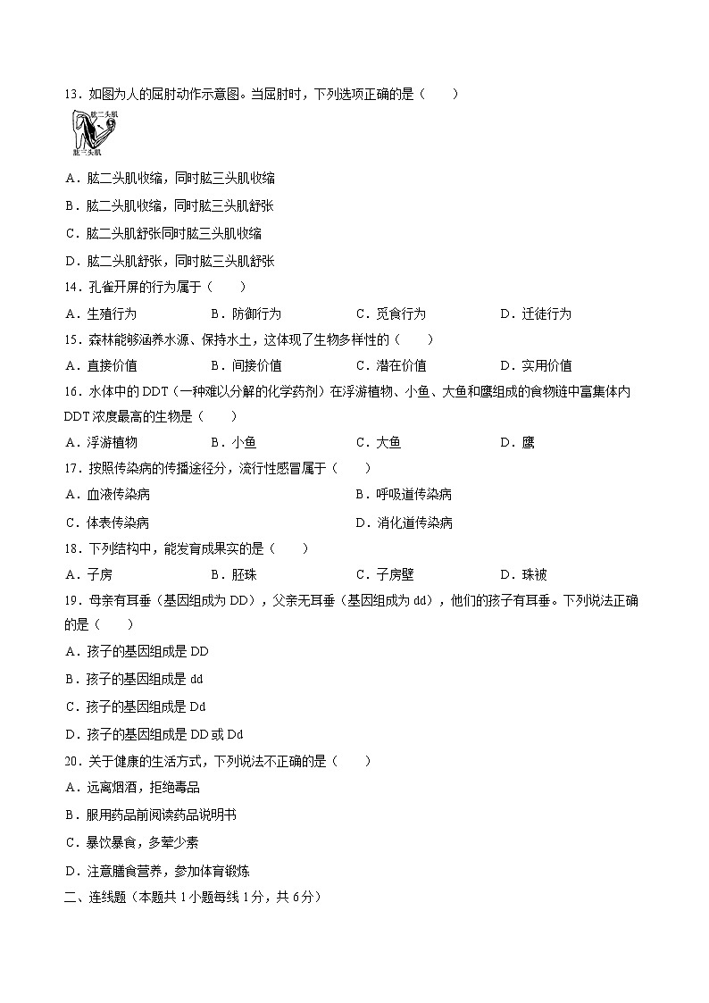 2019年辽宁省沈阳市中考生物试卷（含解析）02