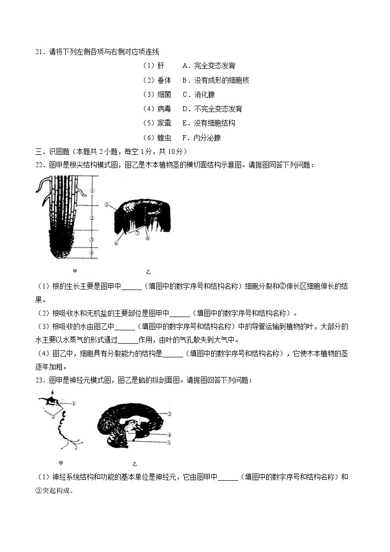 2019年辽宁省沈阳市中考生物试卷（含解析）03
