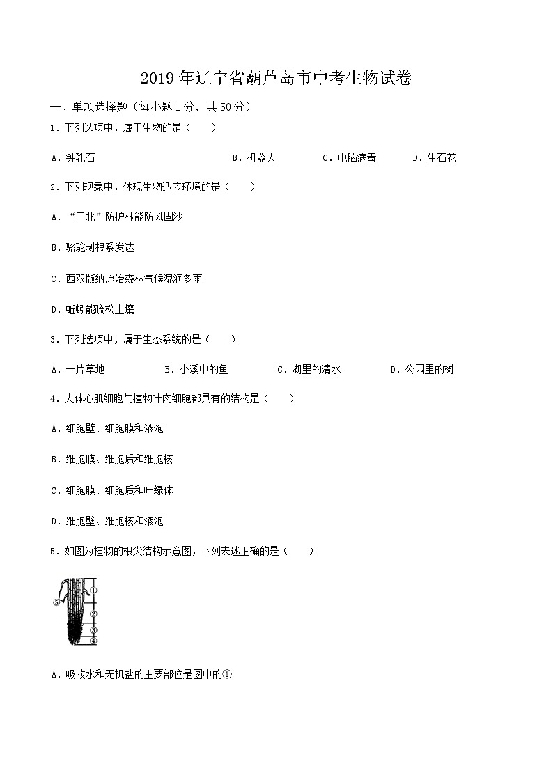 2019年辽宁省葫芦岛市中考生物真题（含解析）01