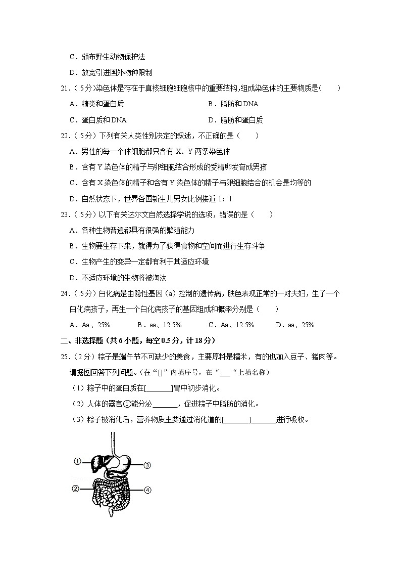 2019年辽宁省辽阳市中考生物试卷（含解析）03
