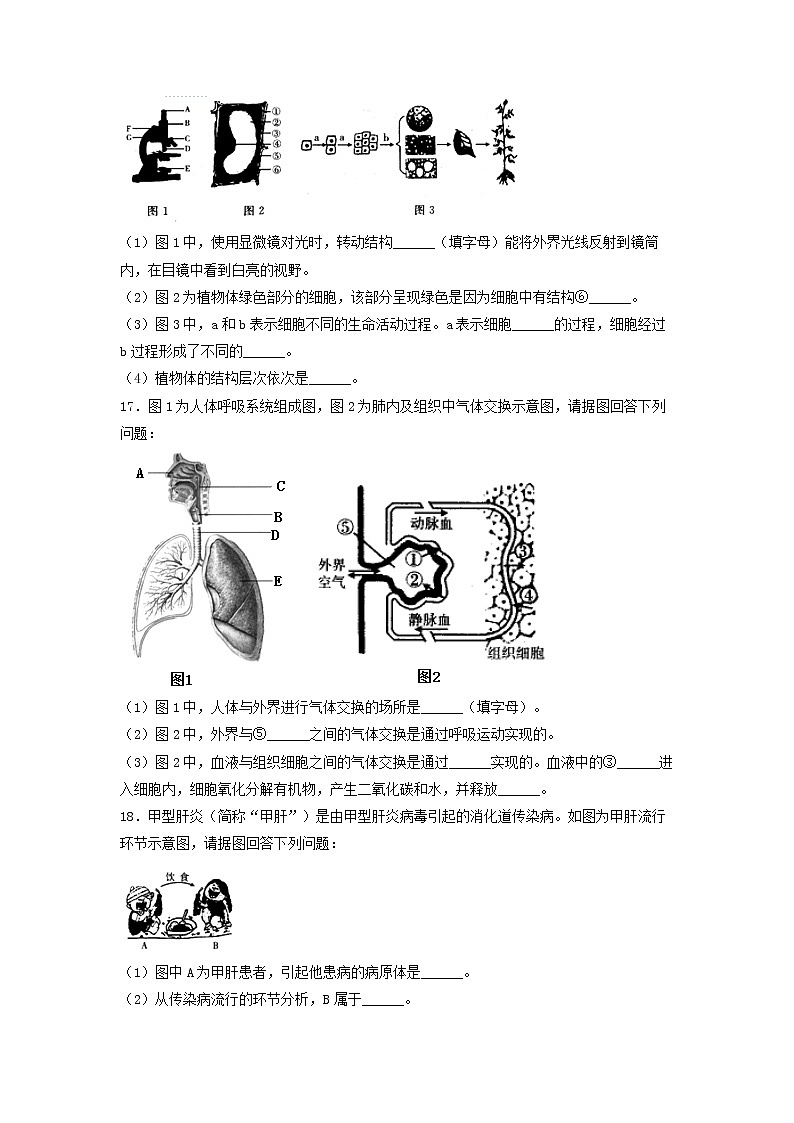 2019年辽宁省抚顺市中考生物试卷（含解析）03